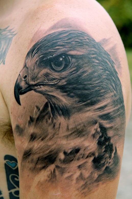 Black And Grey Hawk Head Tattoo On Shoulder