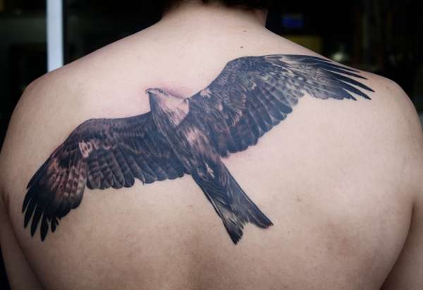 Black Ink Flying Hawk Tattoo On Upper Back