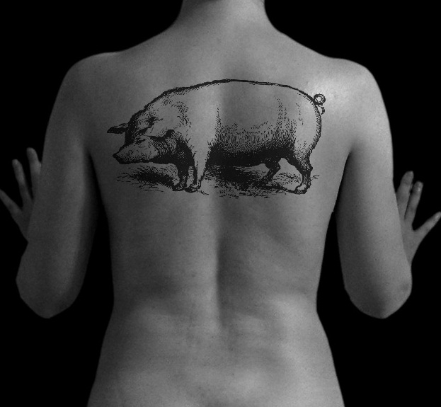 Black Ink Pig Tattoo On Upper Back