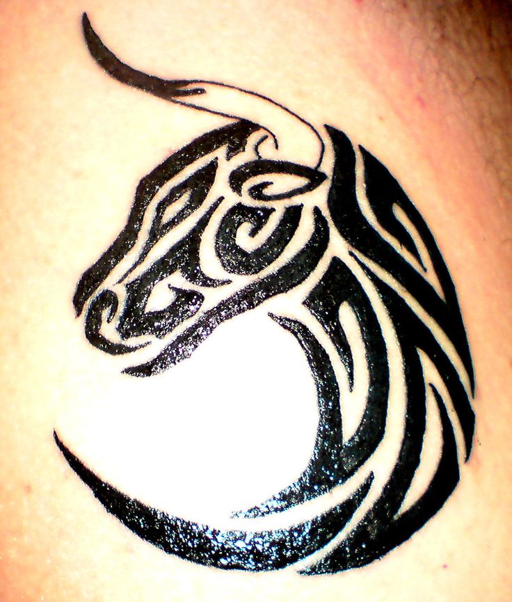 Black Tribal Taurus Head Tattoo Design By Dejan Vukobratovic