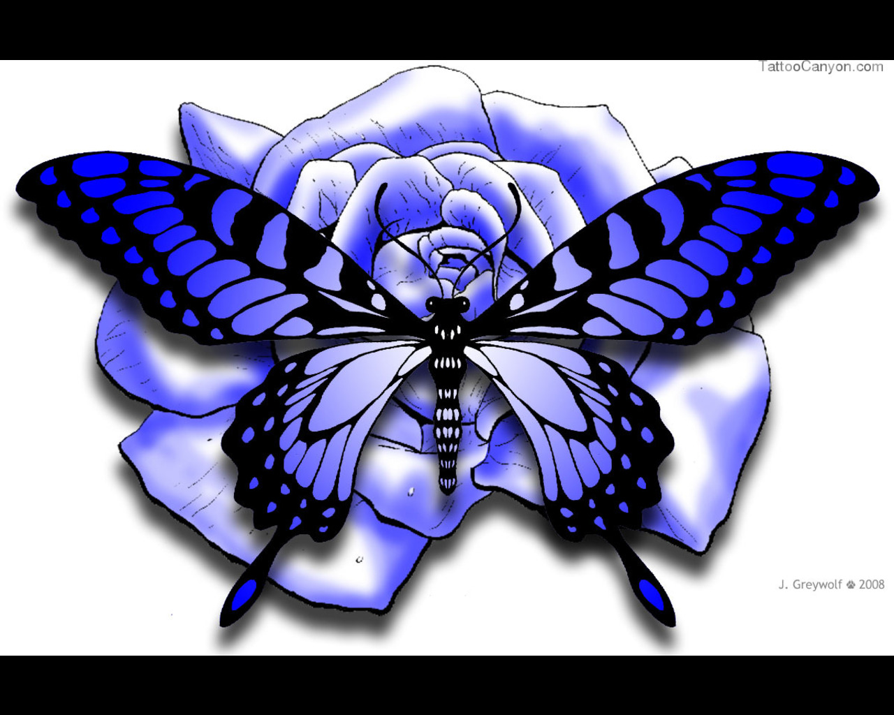 Butterfly On Purple Rose Tattoo Design