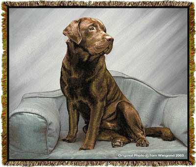 Chocolate Labrador Retriever Dog Painting