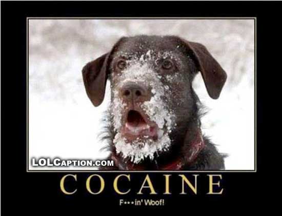 Cocaine Funny Drug Poster
