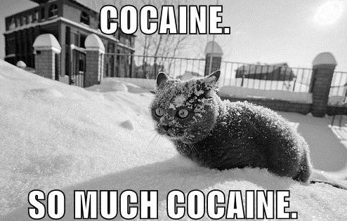 Cocaine So Much Cocaine Funny Drug Picture