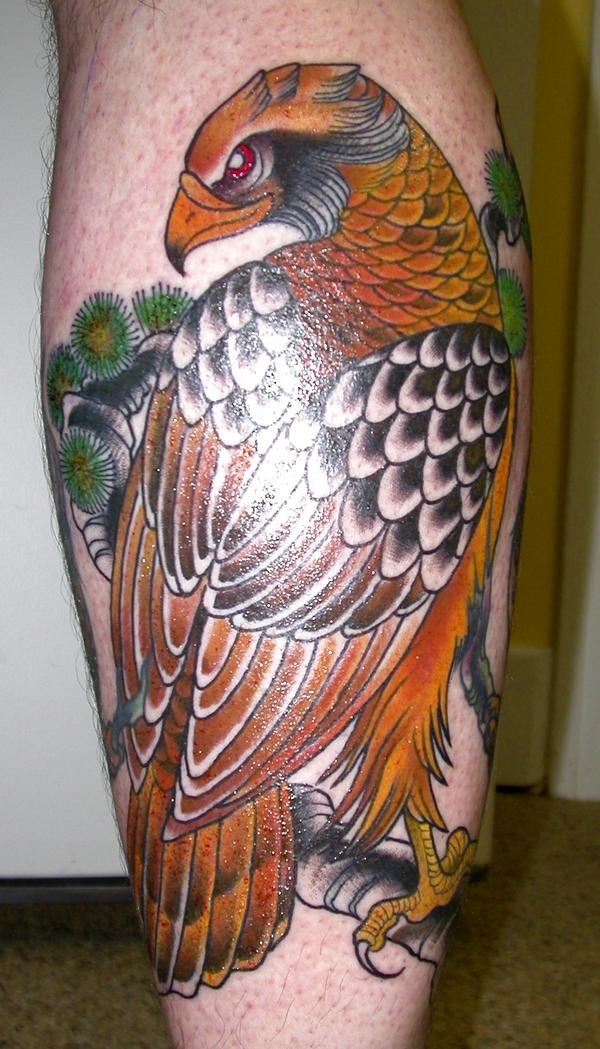 Colorful Hawk Tattoo On Leg Calf