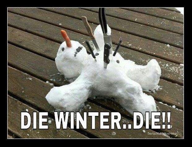 Die Winter Die Funny Snowman Picture