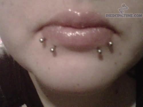 Dual Studs Dolphin Bites Piercing Image For Girls