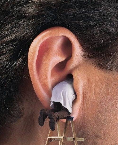31 Very Funny Ear Photos And Images