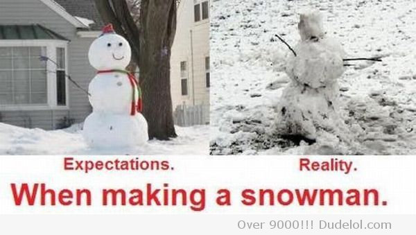 Expectations And Reality Funny Snowman Picture