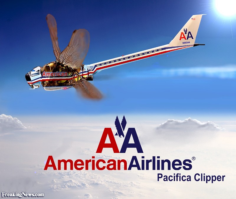 Funny American Airlines Dragonfly Picture