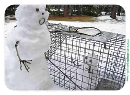 Funny Baby Snowman In Cage