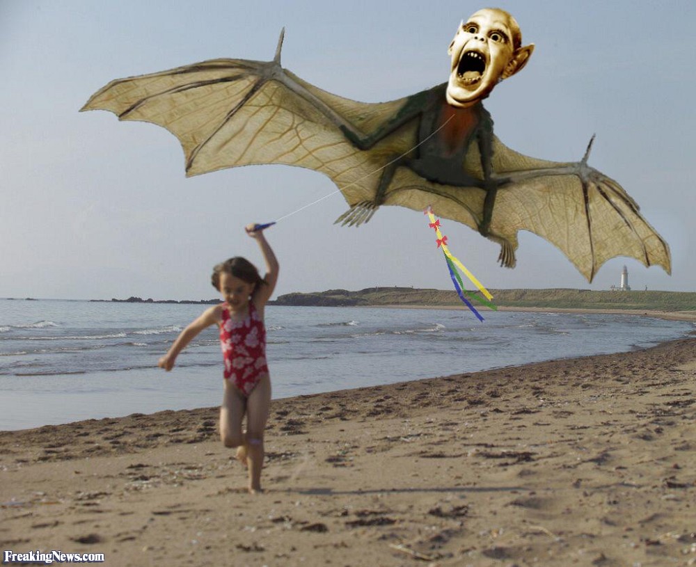 Funny Bat Kite Image