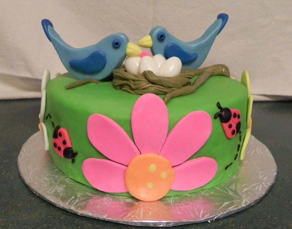 Funny Birds Cake Picture