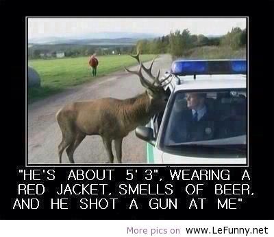 Funny Cop And Deer Joke Picture