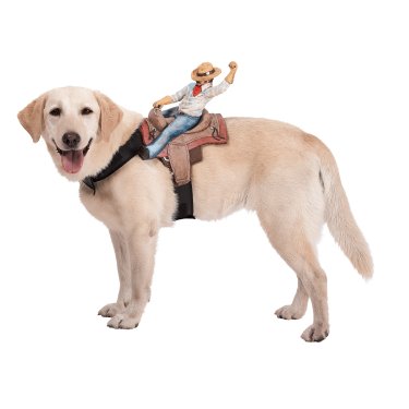 Funny Cowboy Halloween Costume For Dogs