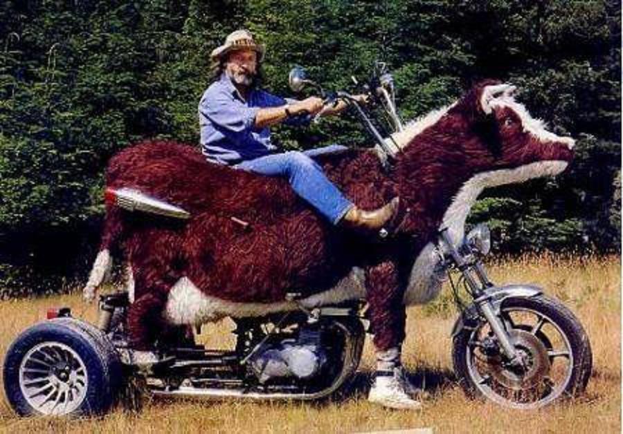 Funny Cowboy Riding Animal Shape Bike