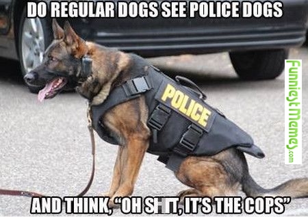 Funny Dog Cop Meme
