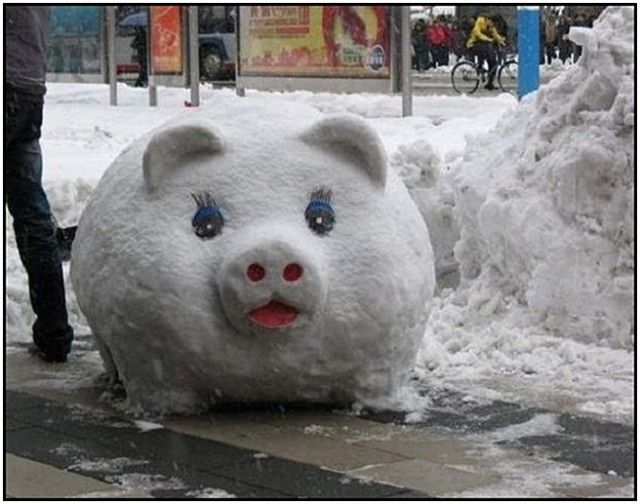 Funny Pig Snowman Picture