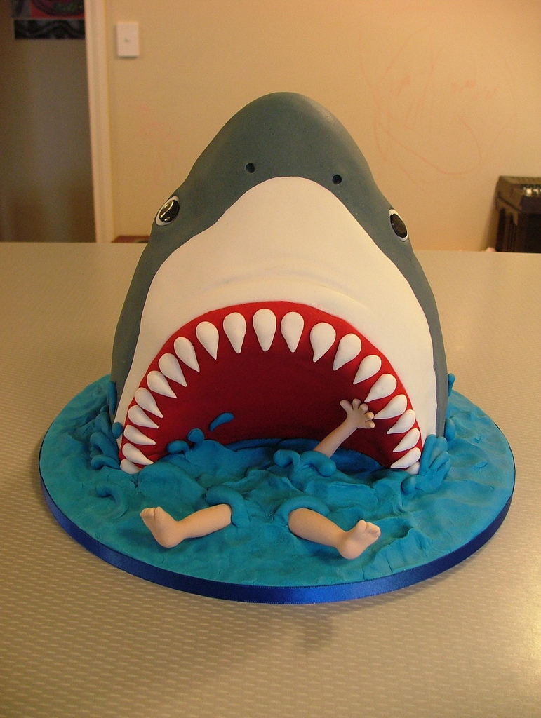 Funny Shark Fish Cake