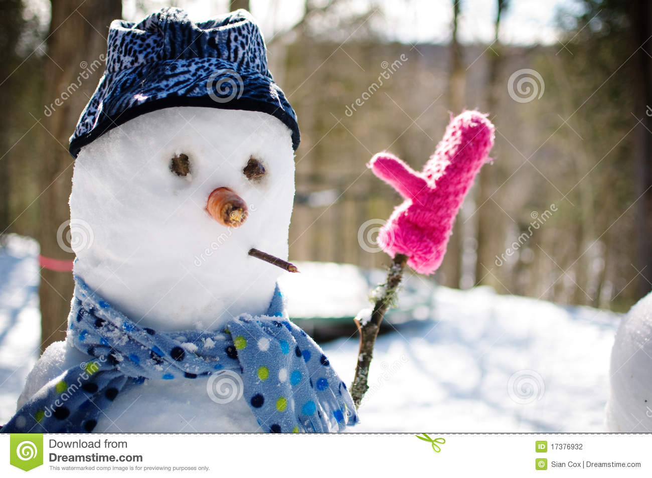 Funny Snowman In Winter Dress