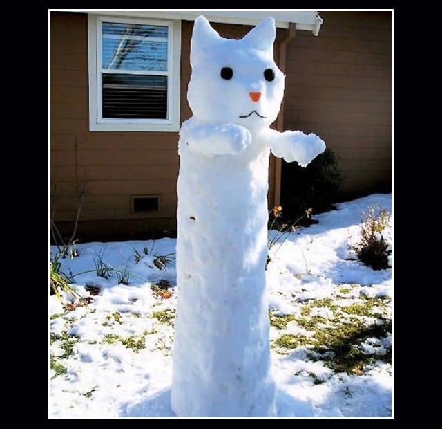 Funny Snowman With Cat Face