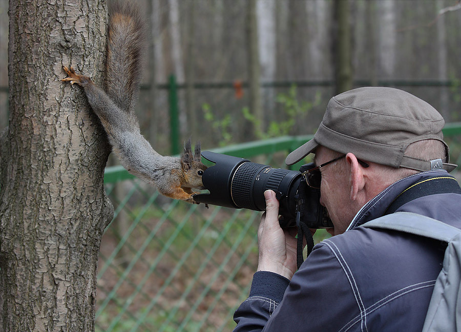 Funny Squirrel Closeup Photoshoot Image