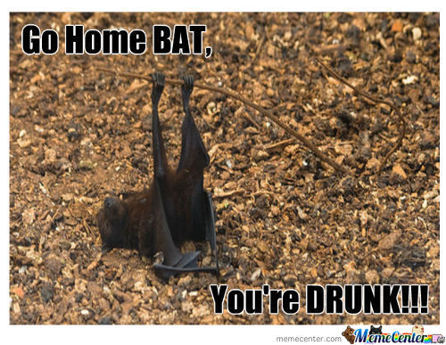 Go Home Bat You Are Drunk Funny Picture