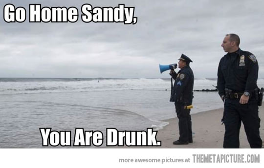 Go Home Sandy You Are Drunk Funny Cops Meme