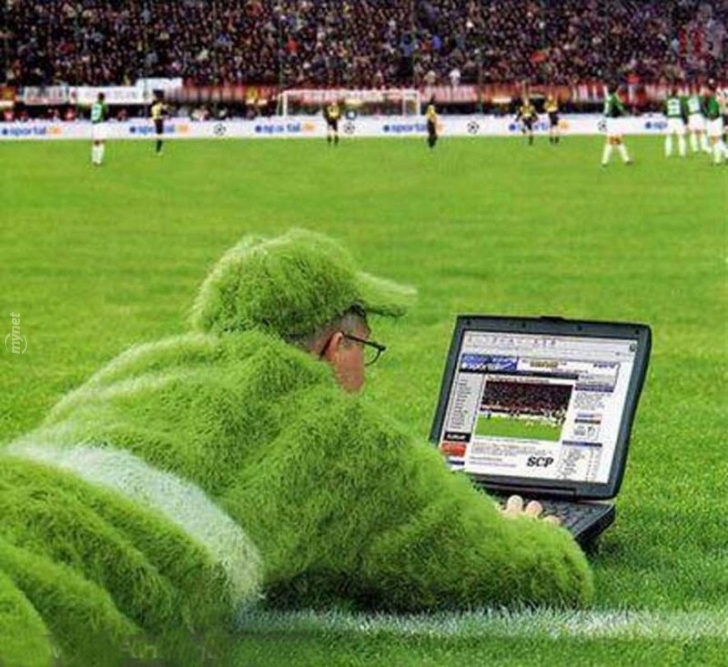 Grass Dressed Man Watching Soccer Funny Picture