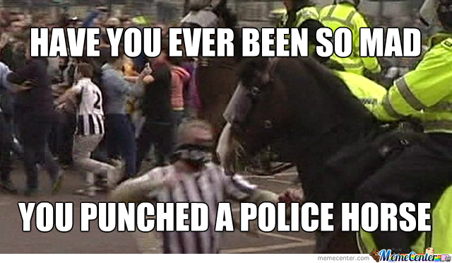 Have You Ever Been So Mad You Punched A Police Horse Funny Cops Meme