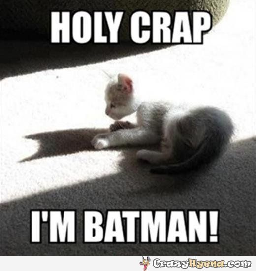 Holy Crap I Am Batman Funny Meme