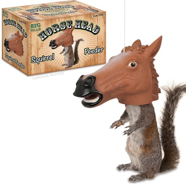 Horse Head Squirrel Feeder Funny Image