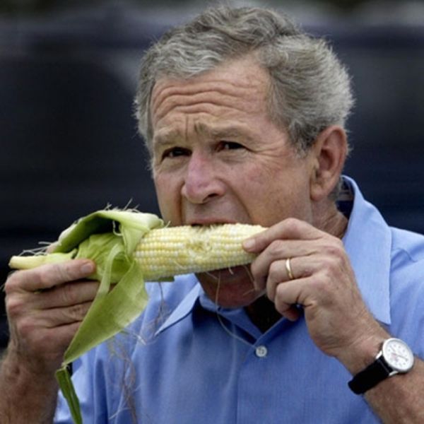 Hungry George Bush Eating Corn Funny Picture