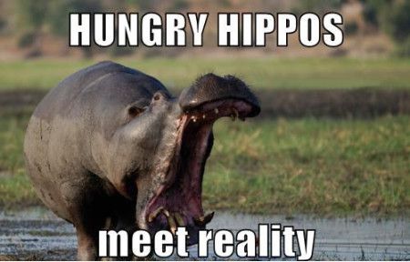 Hungry Hippos Meet Reality Funny Image