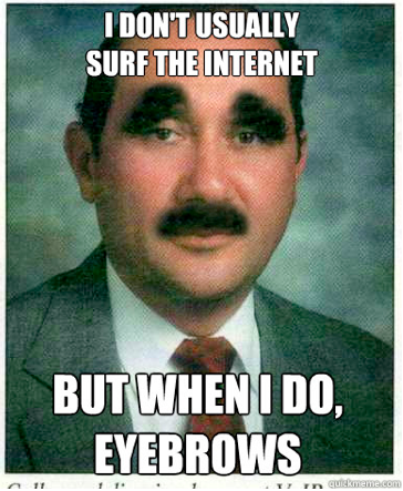 I Don't Usually Surf The Internet Funny Mean Meme