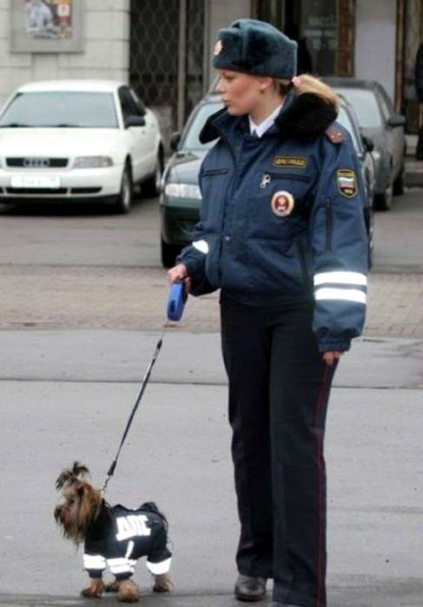 Lady Cop With Small Dog Funny Picture