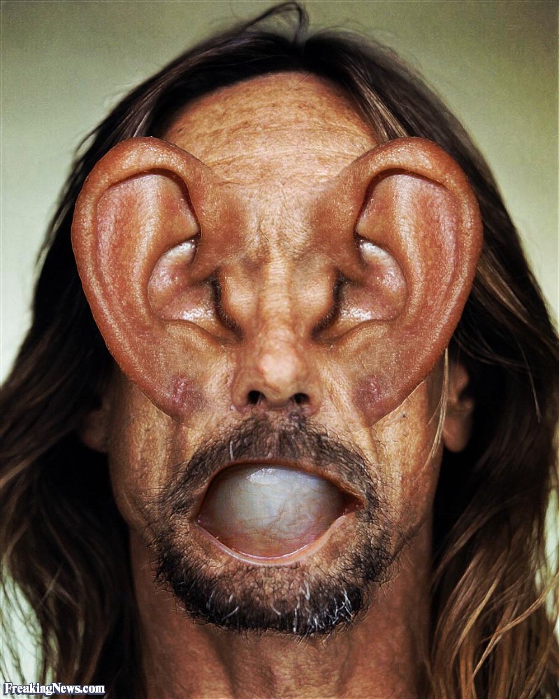 Iggy Pop With Ear Eyes Funny Picture