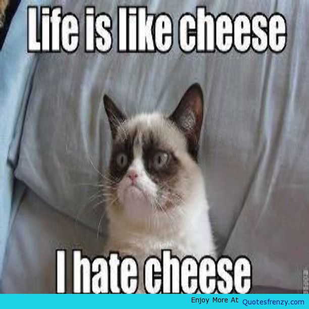 Life Is Like Cheese I Hate Cheese Funny Meme