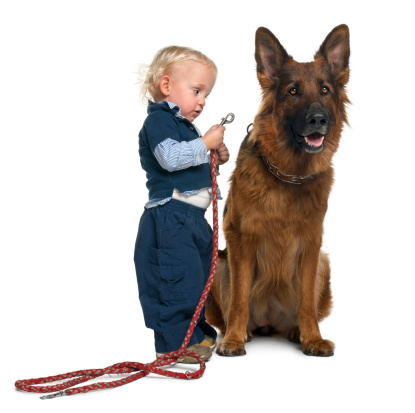 Little Girl With German Shepherd Dog