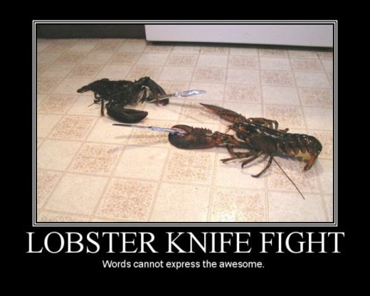 Lobster Funny Awesome Knife Fight Image