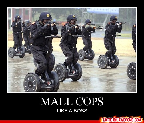 Mall Cops Like A Boss Funny Poster