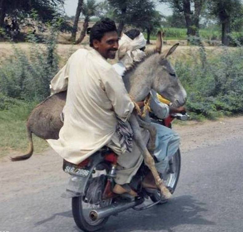 Man On Bike With Donkey Funny Amazing Image