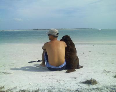 Man Sitting With Chocolate Labrador Retriever On Beach Side