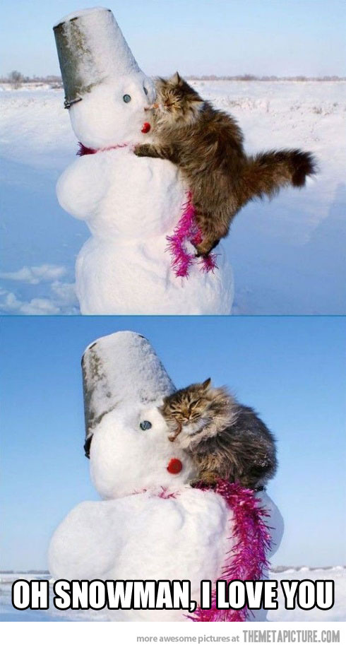 Oh Snowman I Love You Funny Snowman