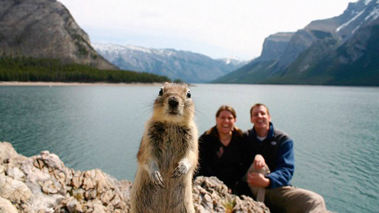People And Squirrel Funny Photoshoot
