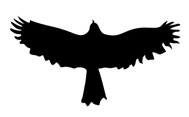 Silhouette Flying Hawk Tattoo Design