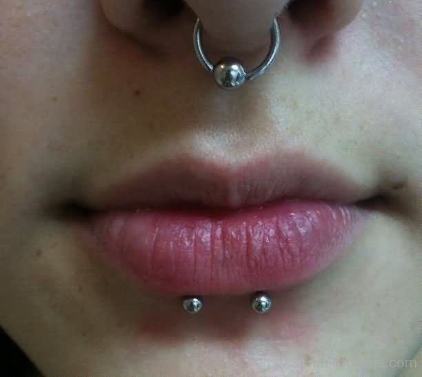 Silver Bead Ring Septum And Dolphin Bites Piercing With Silver Studs