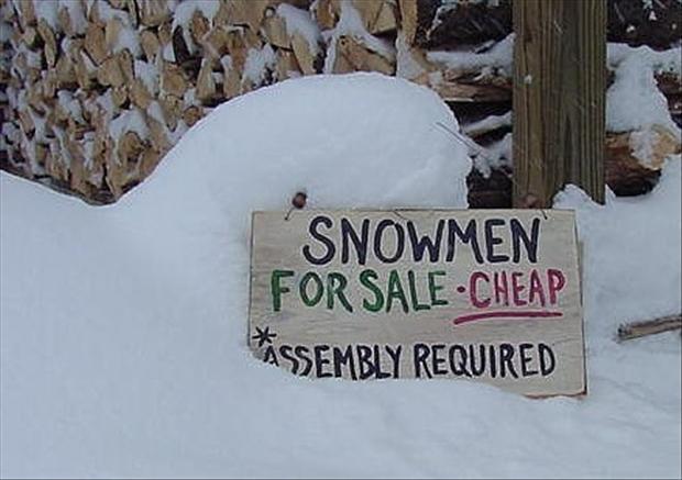 Snowmen for Sale Cheap Assembly Required Funny Picture