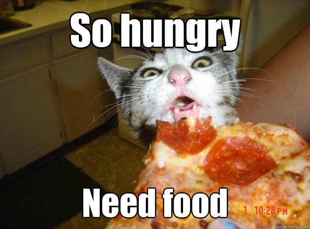 So Hungry Need Food Funny Picture