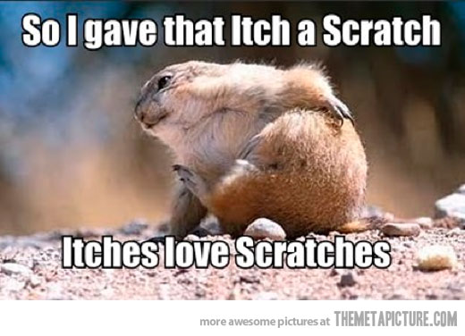 So I Gave That Itch A Scratch Itches Love Scratches Funny Squirrel Meme